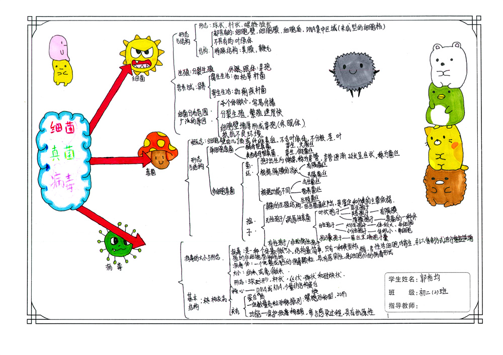 2021年初一年级生物思维导图大赛一等奖获奖作品