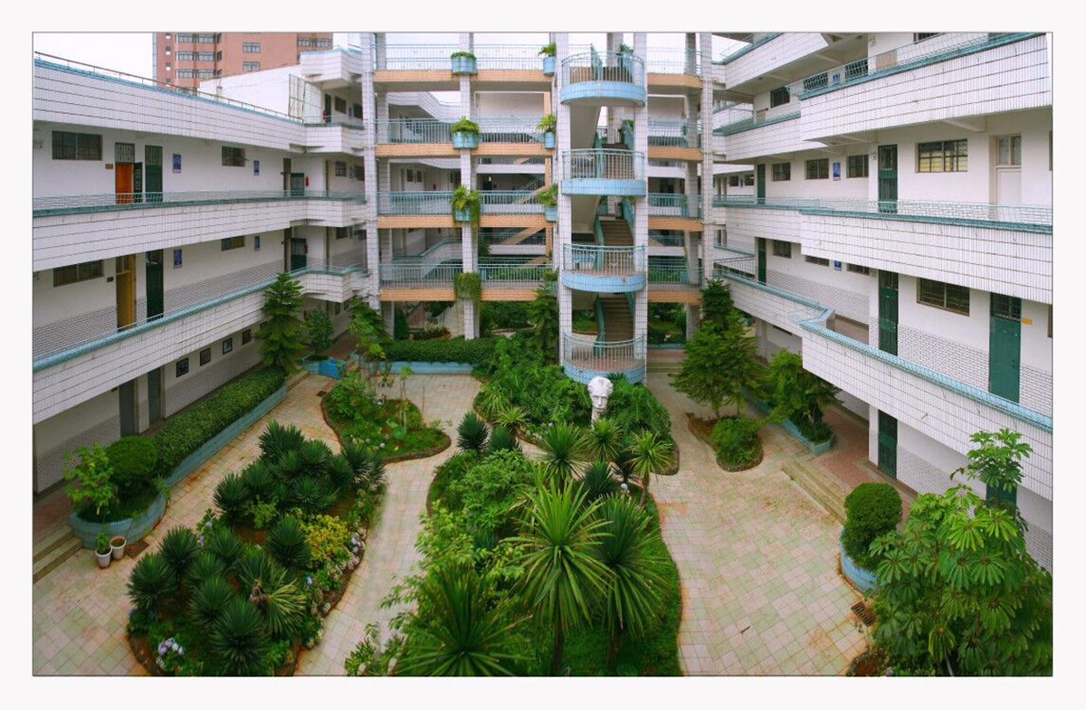 校园一角|云南省昆明市盘龙区新迎中学|新迎中学