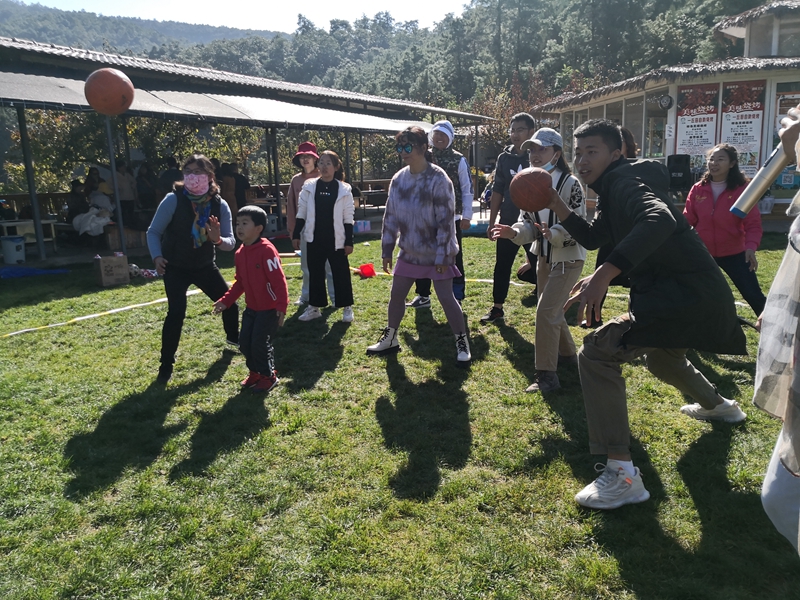 IMG_20201114_105426.jpg