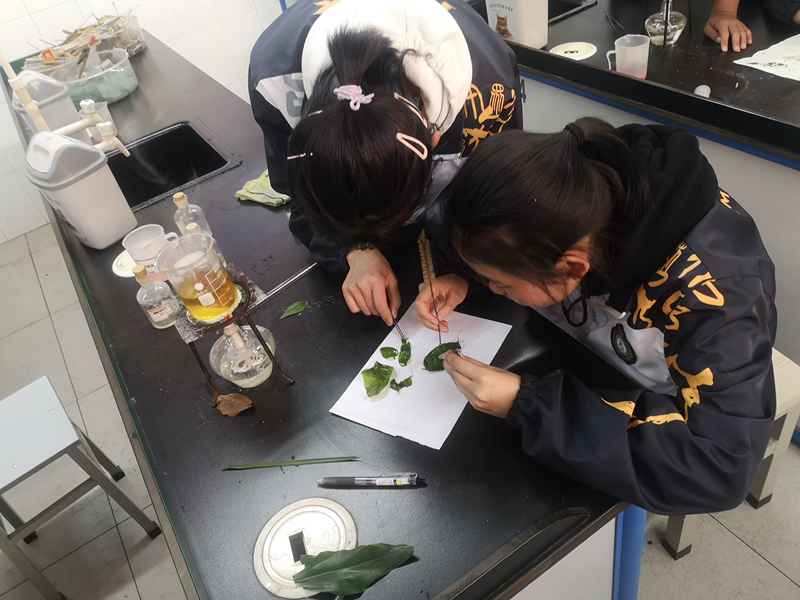 2019年化学兴趣实验活动