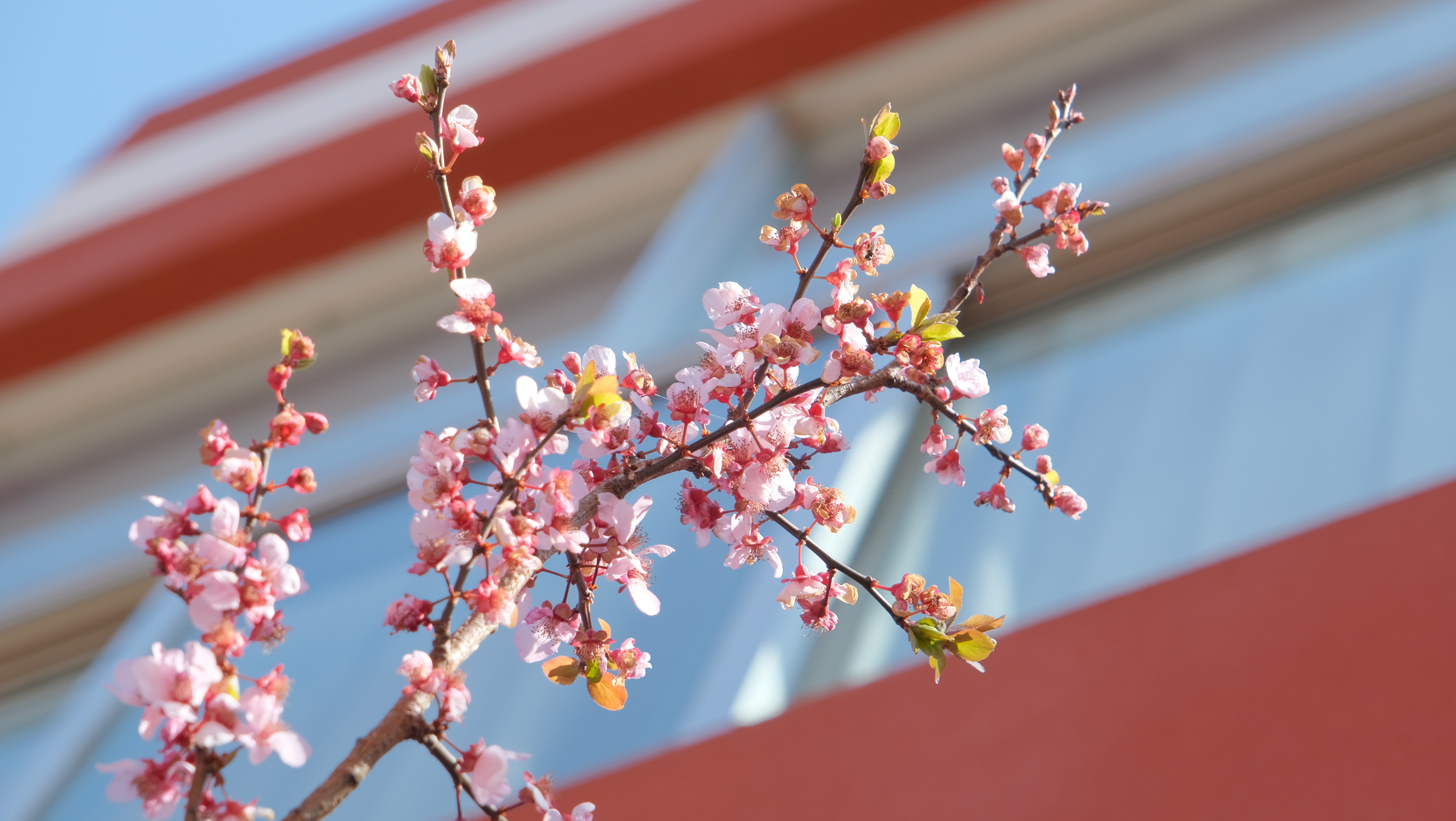 DSCF8607.JPG