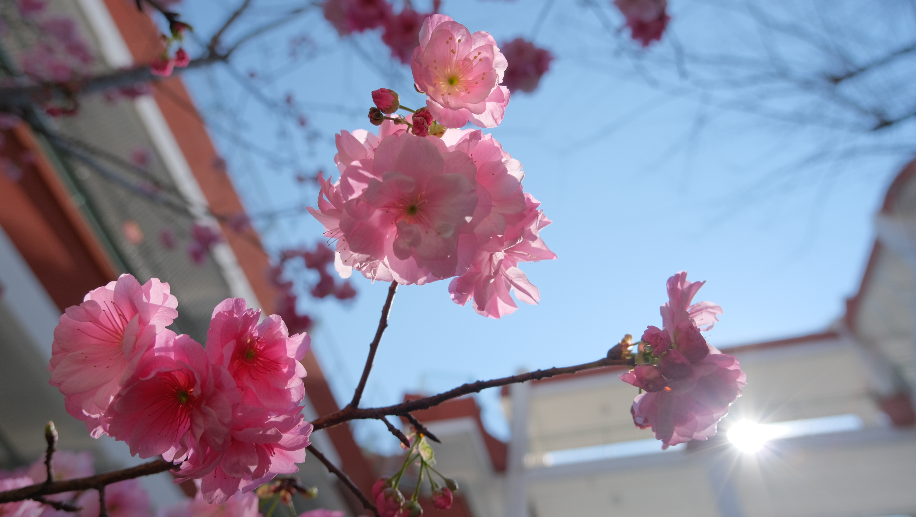 DSCF8644.JPG