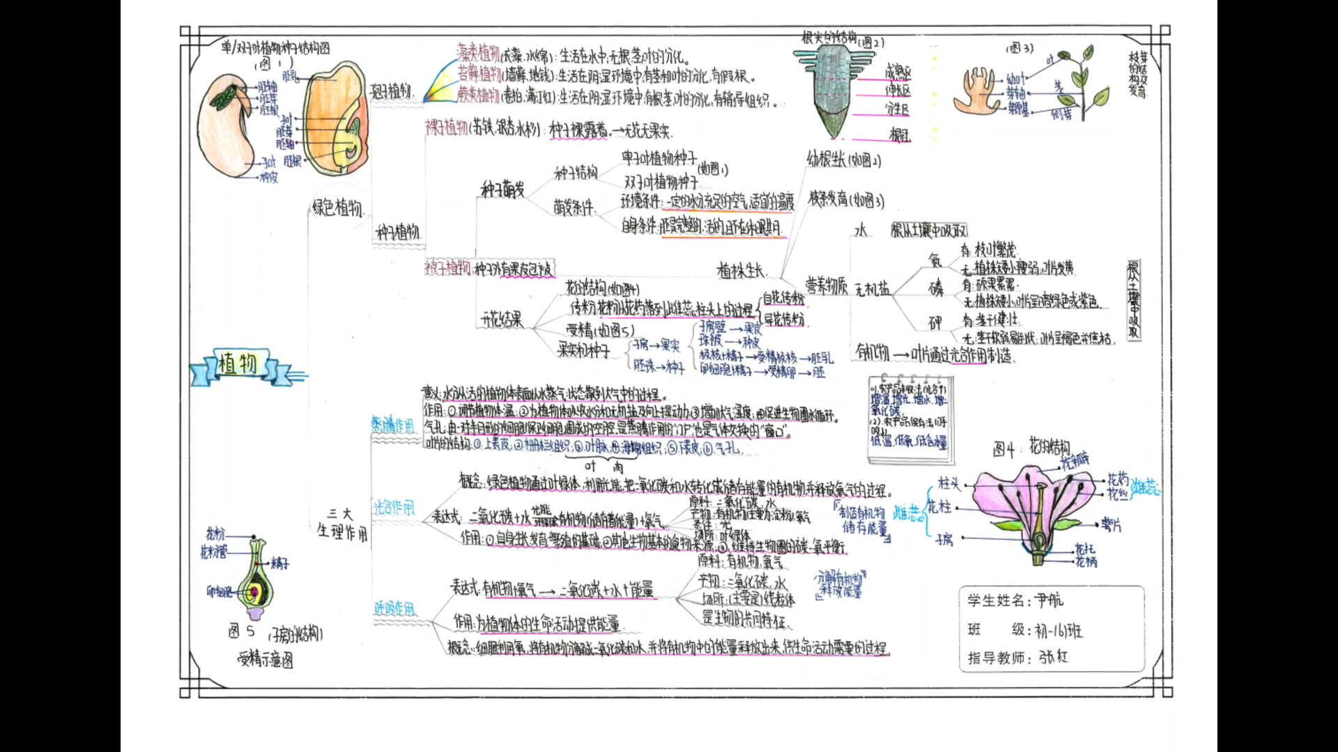 走进科技  你我同行—— 2022年（第6届）“校园科技月”活动 昆明市盘龙区新迎中学